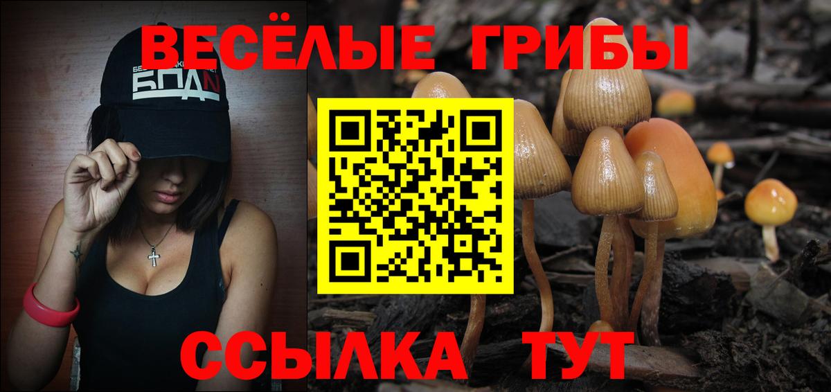 Галлюциногенные грибы MAGIC MUSHROOMS Северобайкальск