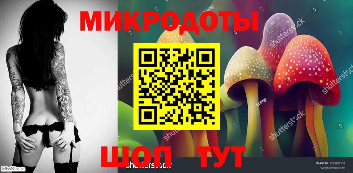 где найти   Вход с VPN  Северобайкальск  Псилоцибиновые грибы MAGIC MUSHROOMS 